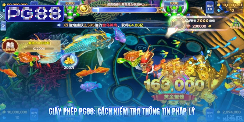 Giấy Phép PG88: Cách Kiểm Tra Thông Tin Pháp Lý