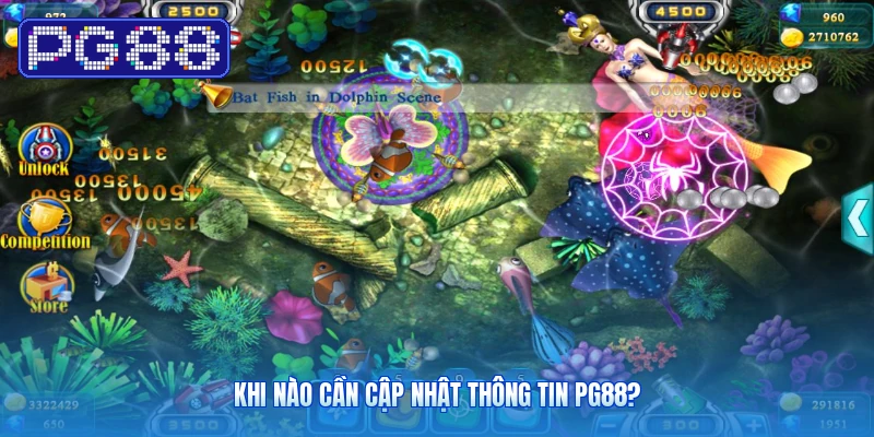 Khi Nào Cần Cập Nhật Thông Tin PG88?