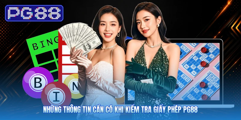 Những thông tin cần có khi kiểm tra giấy phép PG88