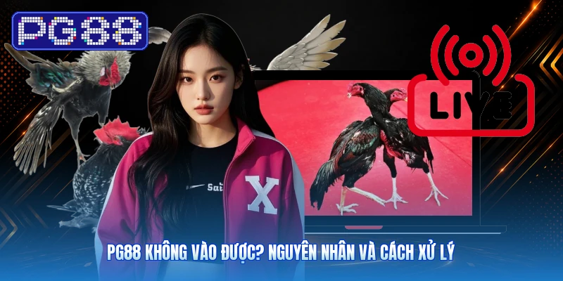 PG88 Không Vào Được? Nguyên Nhân Và Cách Xử Lý
