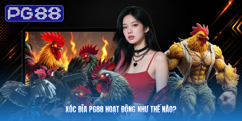 Xóc Đĩa PG88: Luật Chơi Và Các Cửa Cược Tại Nhà Cái 2 Xóc Đĩa PG88 Hoạt Động Như Thế Nào?